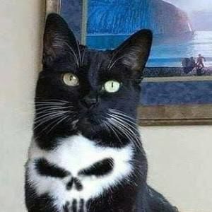 Meet your Posher, Bonni